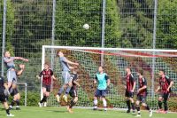 2024_05.13000004Beilstein