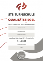 Urkunde_STB_Turnschule_SpVgg_Heinriet_Weiblich_Silber_2026