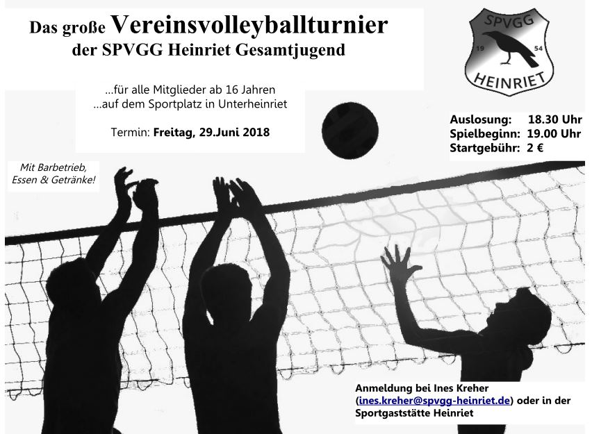 Plakat Volleyball 2018